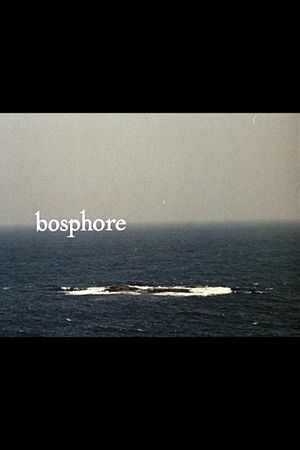 Bosphore's poster image