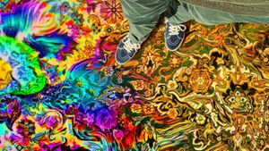 Have a Good Trip's poster