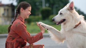 The Dog Who Travelled by Train's poster