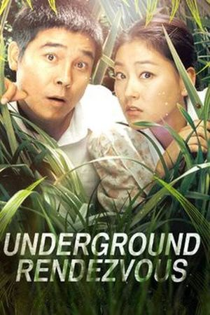 Underground Rendezvous's poster