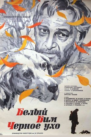 White Bim Black Ear's poster