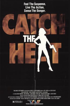 Catch the Heat's poster