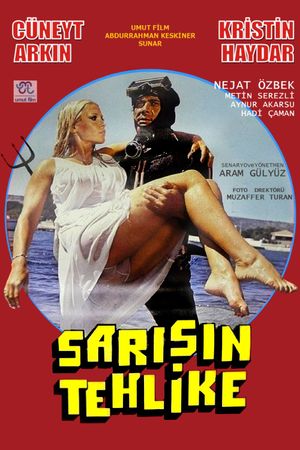 Sarisin Tehlike's poster