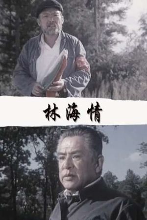 林海情's poster