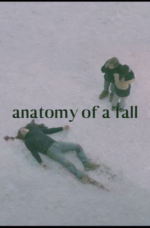 Anatomy of a Fall's poster