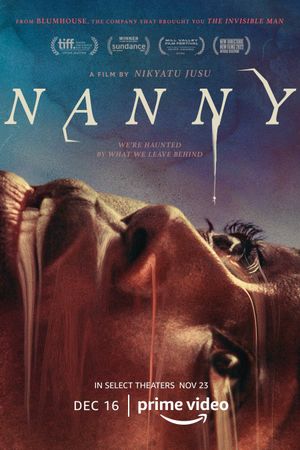 Nanny's poster