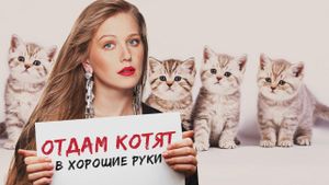 Free Kittens to Good Home's poster