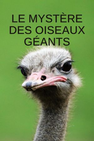 Le mystère des oiseaux géants's poster