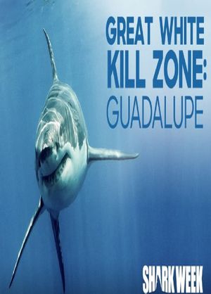 Tiburones Blancos de Guadalupe's poster image