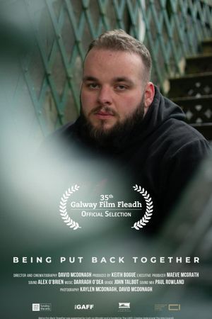 Being Put Back Together's poster