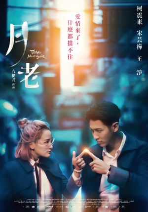 Till We Meet Again's poster