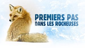 Premiers pas dans les Rocheuses's poster