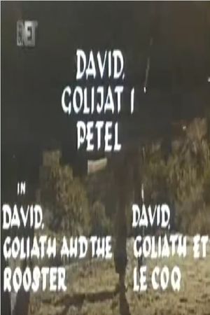 David, Goliath and the Rooster's poster