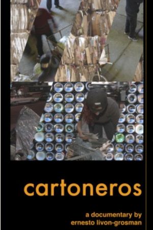 Cartoneros's poster