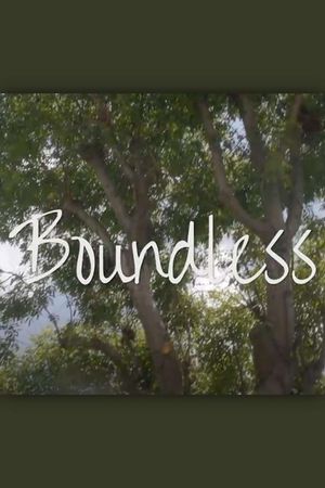 Boundless's poster