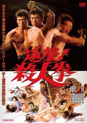 The Street Fighter's Last Revenge's poster