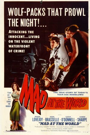 Mad at the World's poster