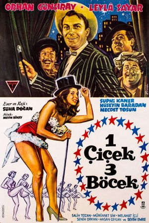 Bir çiçek üç böcek's poster