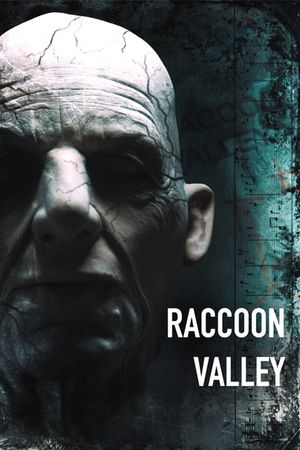 Raccoon Valley's poster