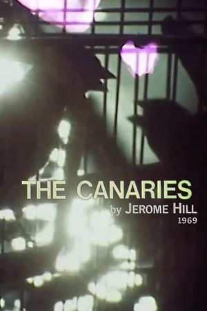 The Canaries's poster
