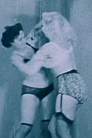 Negligee Fight's poster