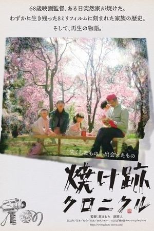 Yakeato Chronicle's poster image