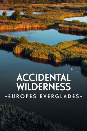 The Accidental Wilderness: Europe's Everglades's poster