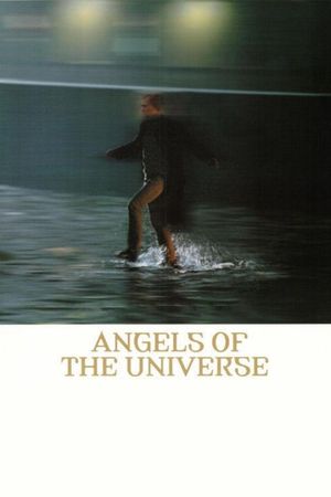 Angels of the Universe's poster image