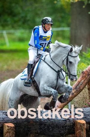 Obstacles's poster