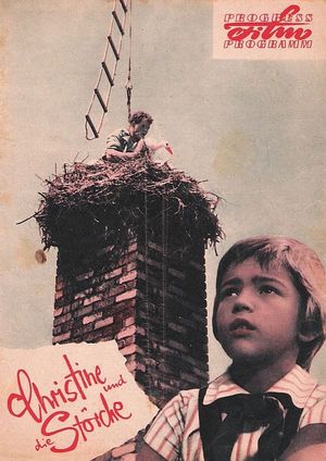 Christine and the Storks's poster