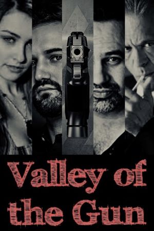 Valley of the Gun 2020's poster
