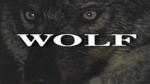 Predators of the Wild: Wolf's poster