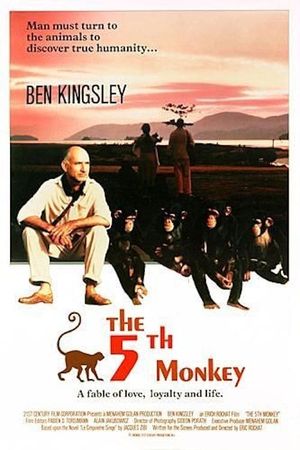 O Quinto Macaco's poster