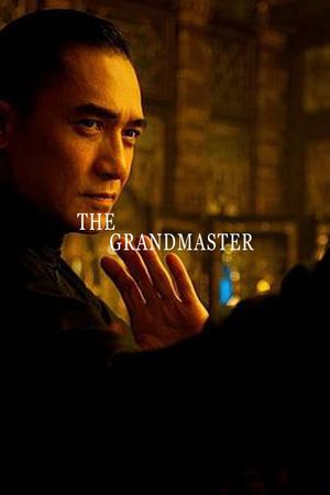 The Grandmaster's poster