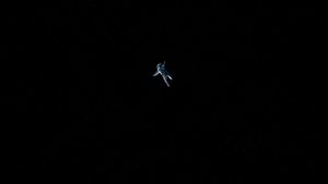 Gravity's poster