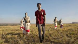 The Wound's poster