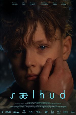 Sælhud's poster