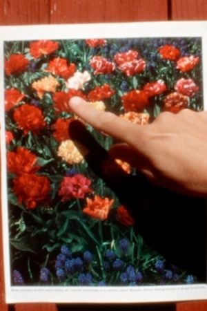 On Unshaped Dialogue's poster