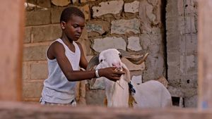 Le mouton de Sada's poster