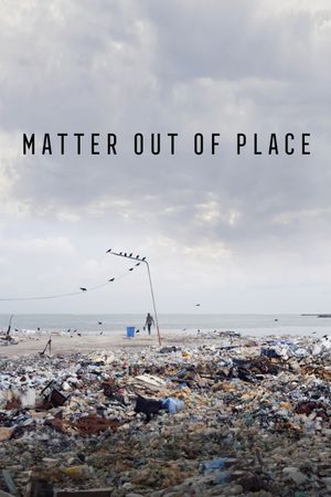 Matter Out of Place's poster