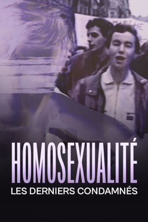 Homosexualité: Les derniers condamnés's poster