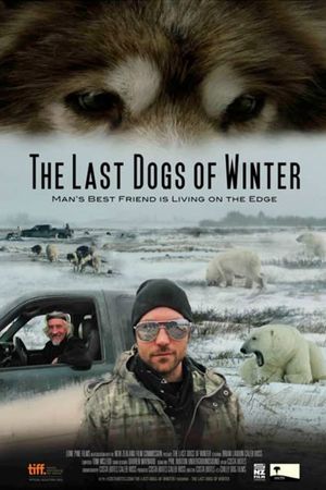 The Last Dogs of Winter's poster