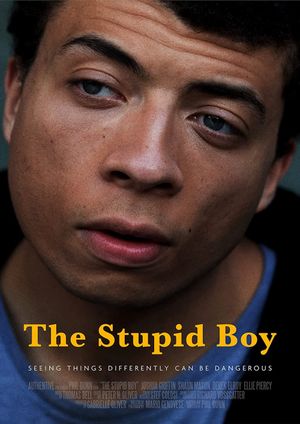 The Stupid Boy's poster