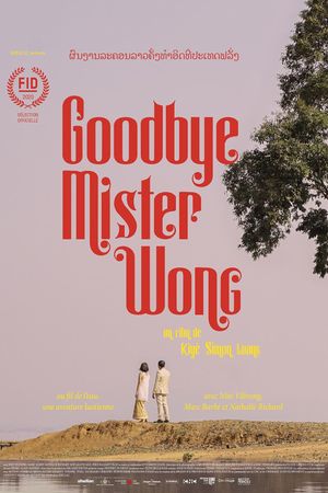 Goodbye Mister Wong's poster image