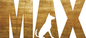 Max's poster