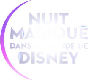 Magical Night in Disney World's poster