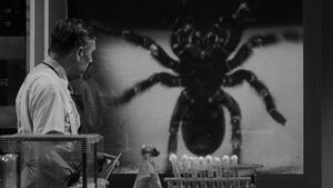 Tarantula's poster