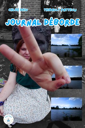 journal déborde's poster