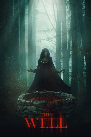 The Well's poster
