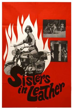 Sisters in Leather's poster